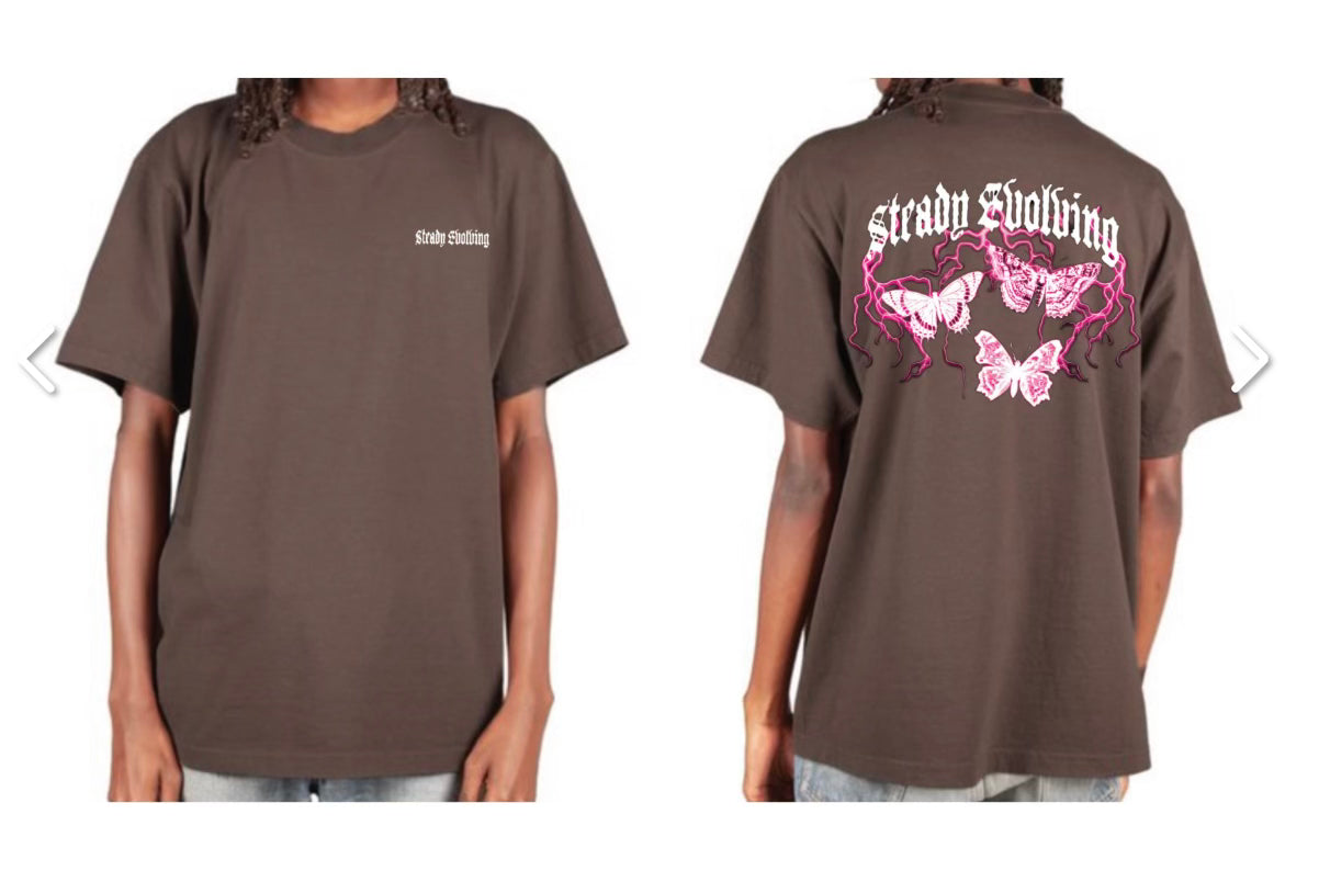 steady evolving collection